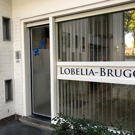 B&B Lobelia-Brugge Exterior foto