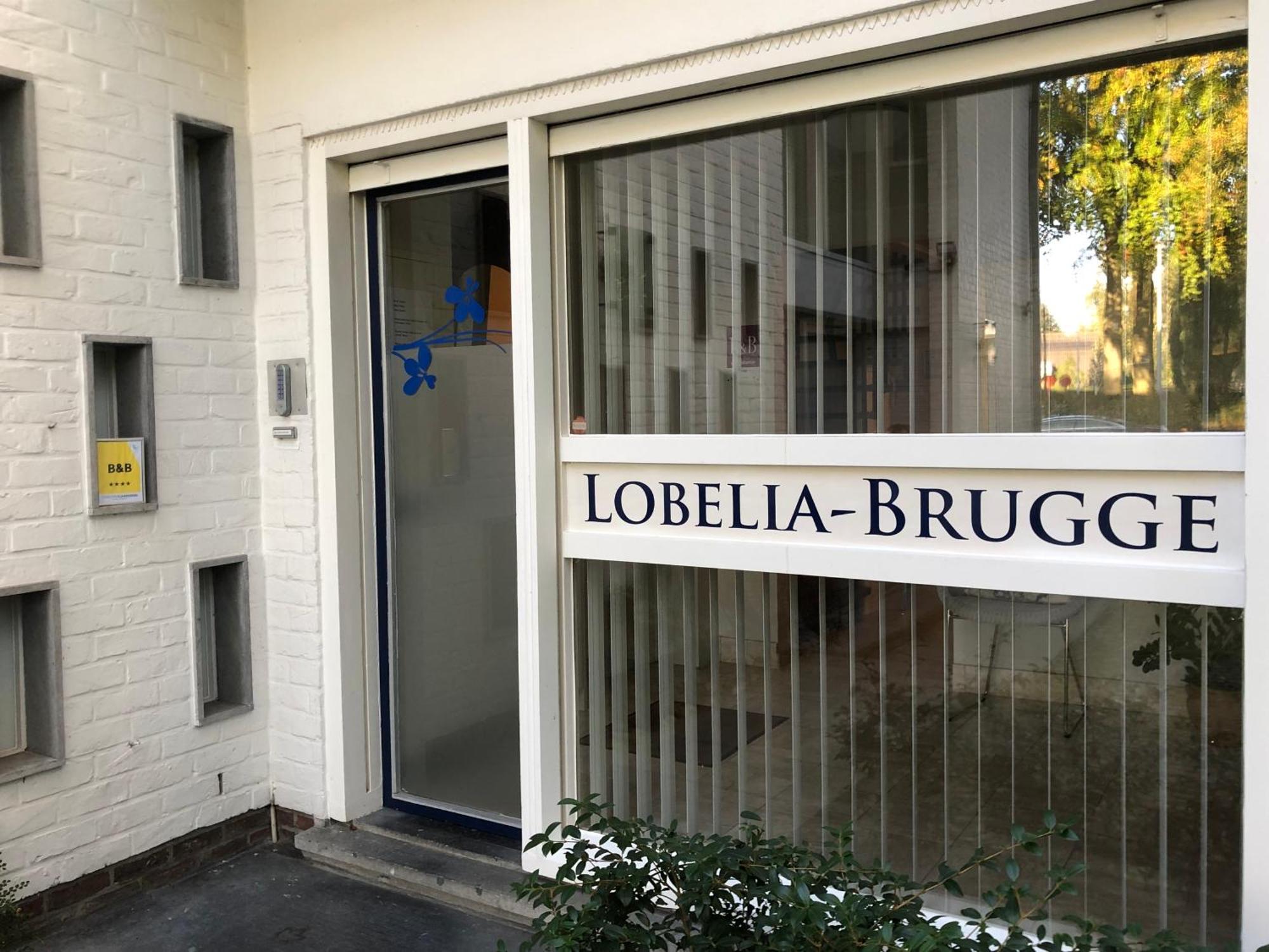 B&B Lobelia-Brugge Exterior foto