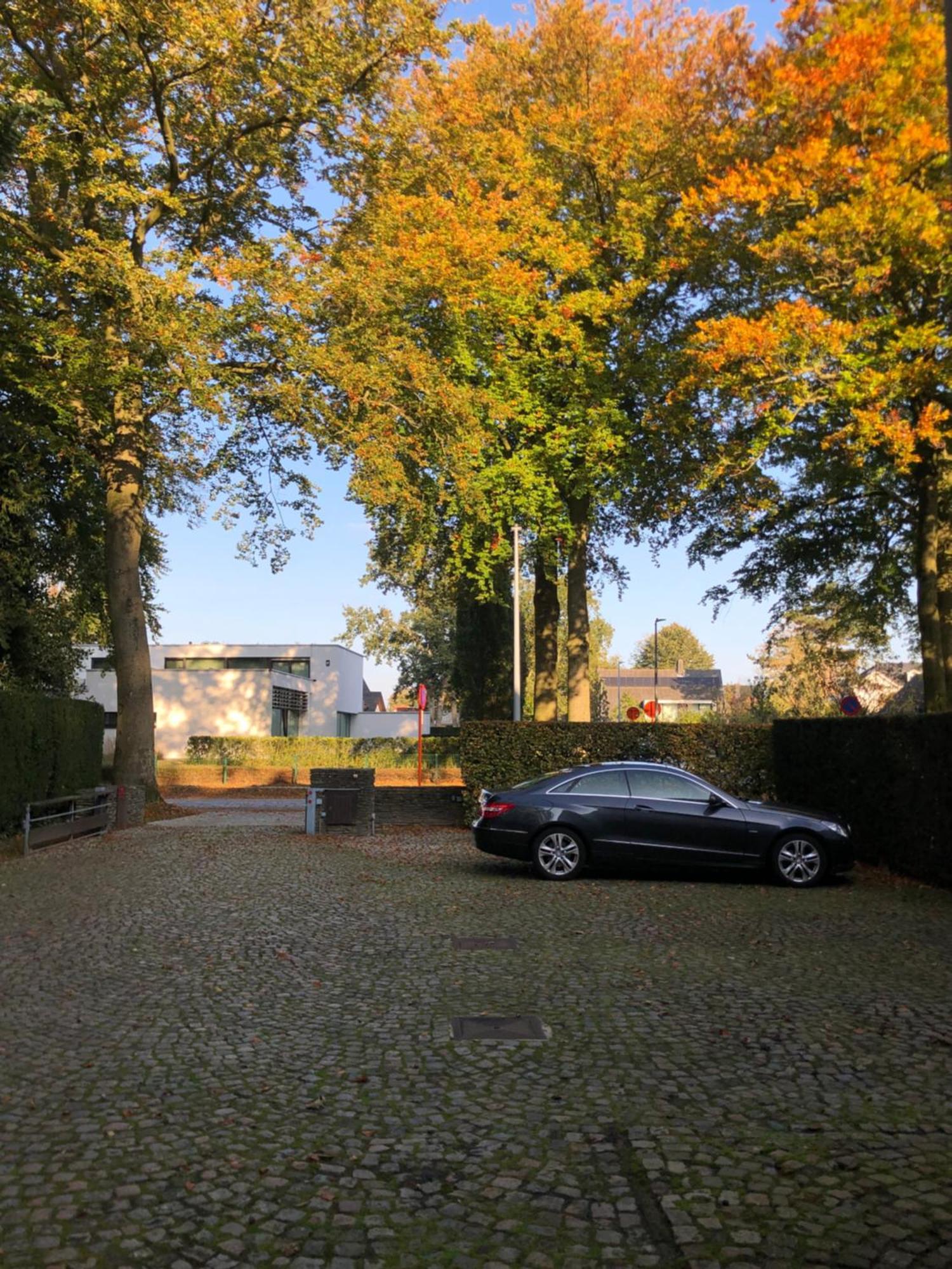 B&B Lobelia-Brugge Exterior foto